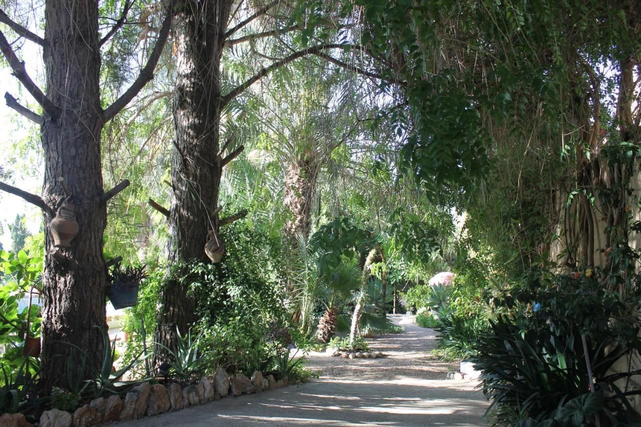 Casa Rural Complex Masia Del Tremendo Y Agroturismo Camarles Esterno foto