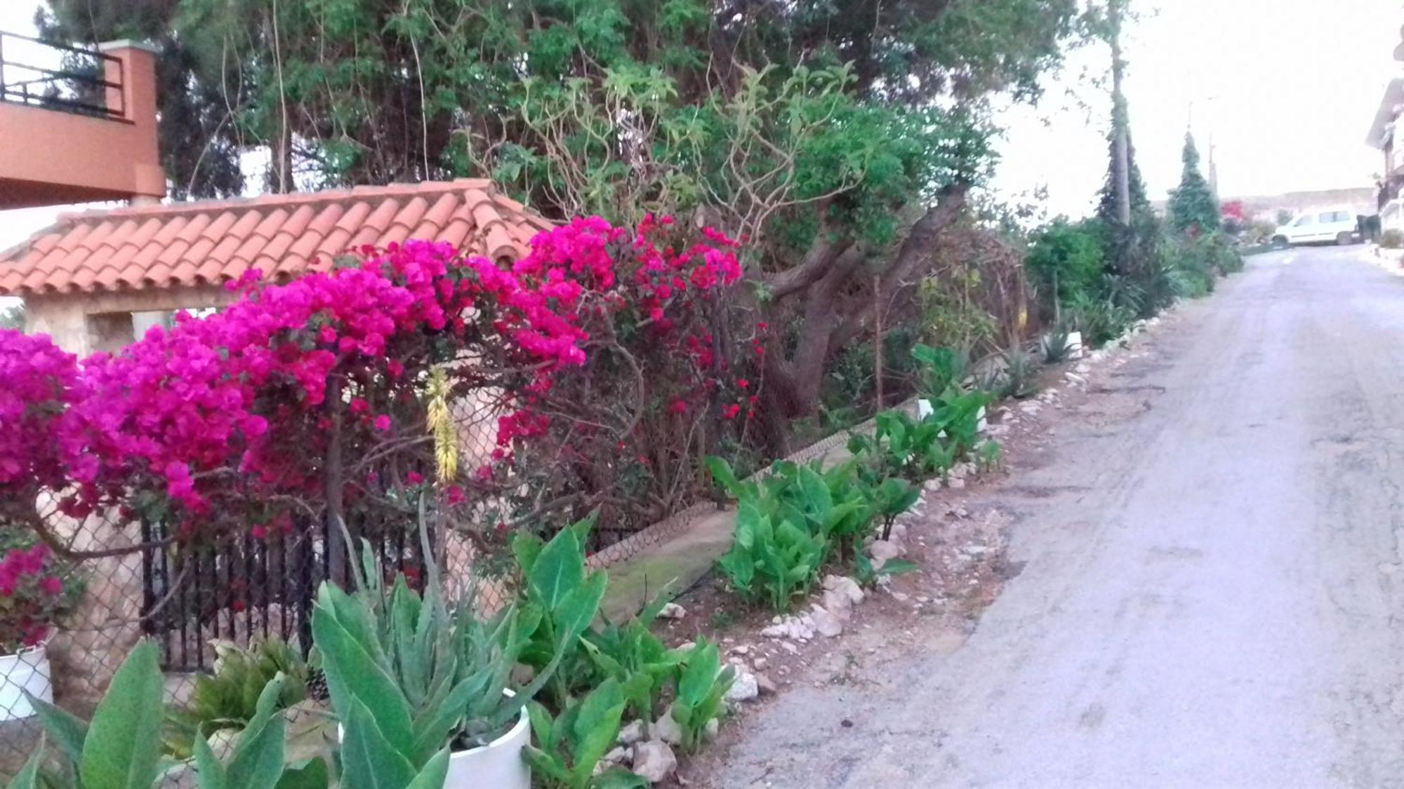 Casa Rural Complex Masia Del Tremendo Y Agroturismo Camarles Esterno foto